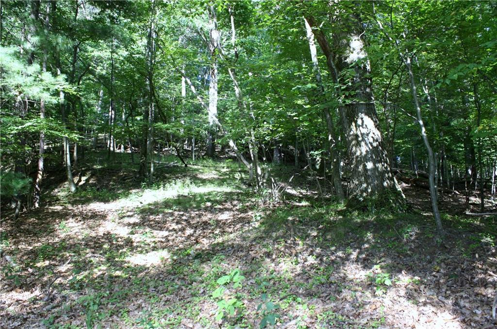 104 Buckhill Road Pittsburgh, PA 15237 - Photo 19 of 21 Wooded View