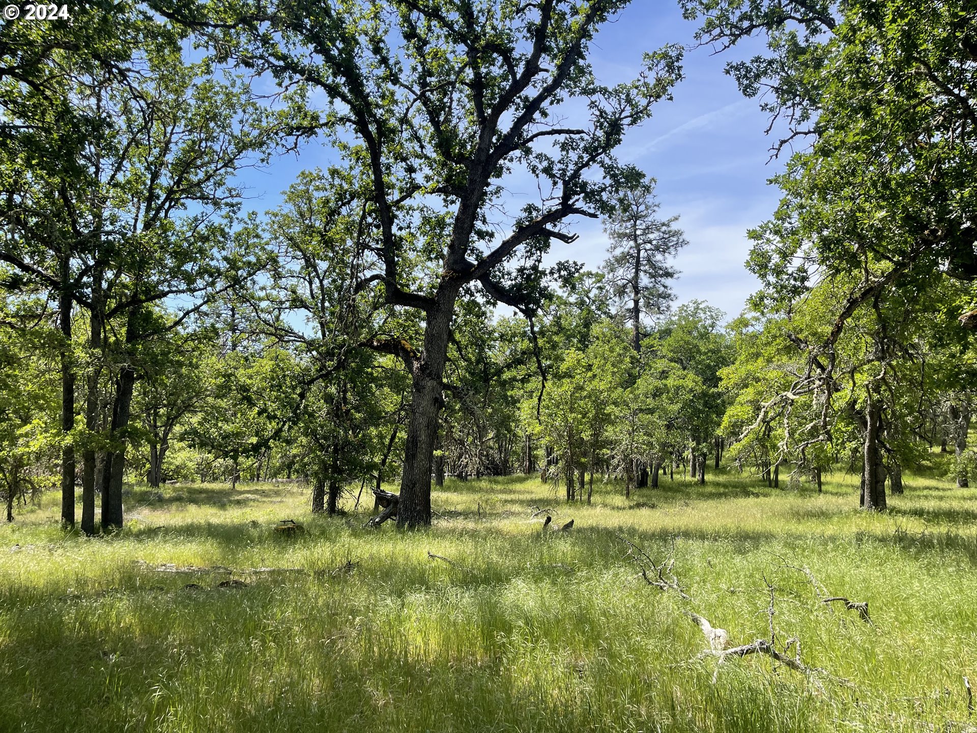 20 Windloch Road Goldendale, WA 98620 - Photo 41 of 45 Gallery Image 41