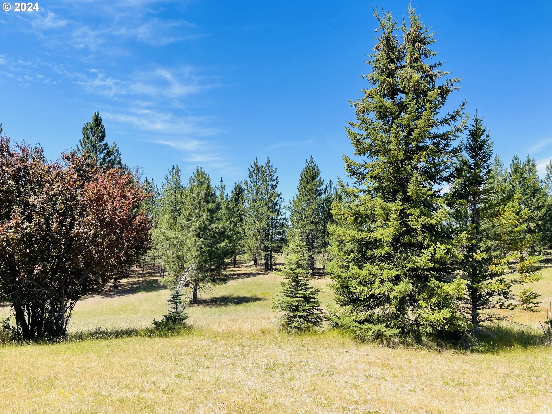 20 Windloch Road Goldendale, WA 98620 - Photo 44 of 45 Gallery Image 44