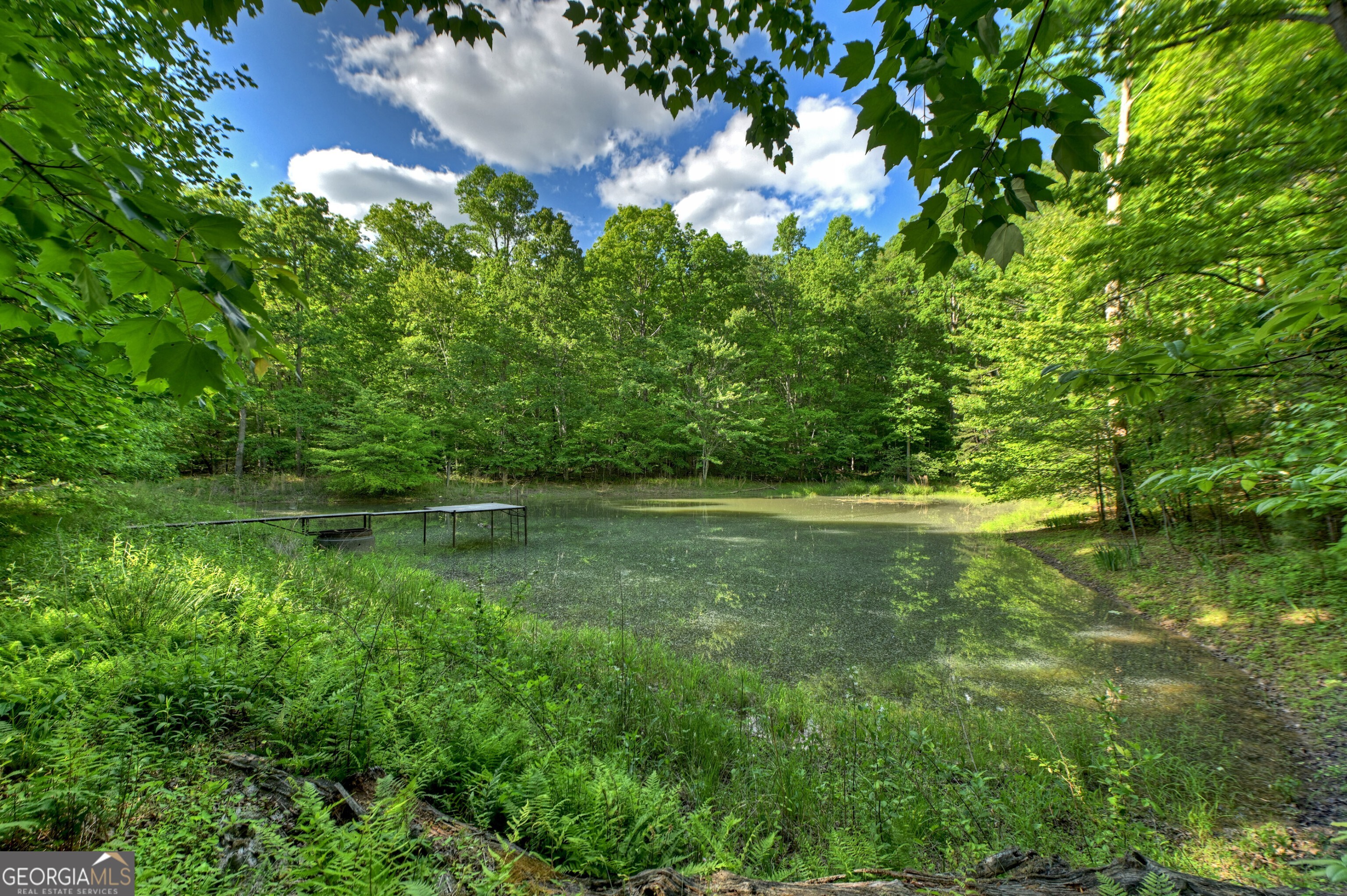 8-ac Mcnelley Road Morganton, GA 30560 - Photo 2 of 47