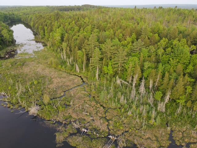 Lot 12 Parker Pond Road Sebec, ME 04481 - Photo 11 of 31 dji_fly_20250604_191112_476_175200586729