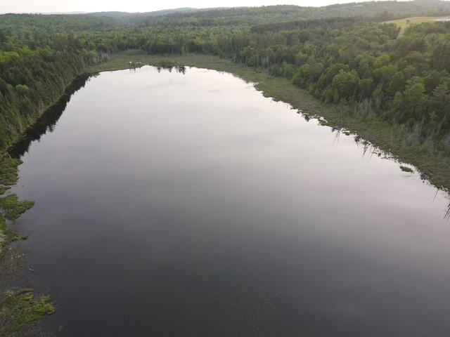 Lot 12 Parker Pond Road Sebec, ME 04481 - Photo 14 of 31 dji_fly_20250604_191036_475_175200585101