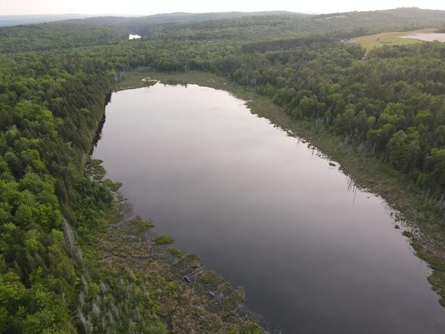 Lot 12 Parker Pond Road Sebec, ME 04481 - Photo 15 of 31 dji_fly_20250604_191012_474_175200585251