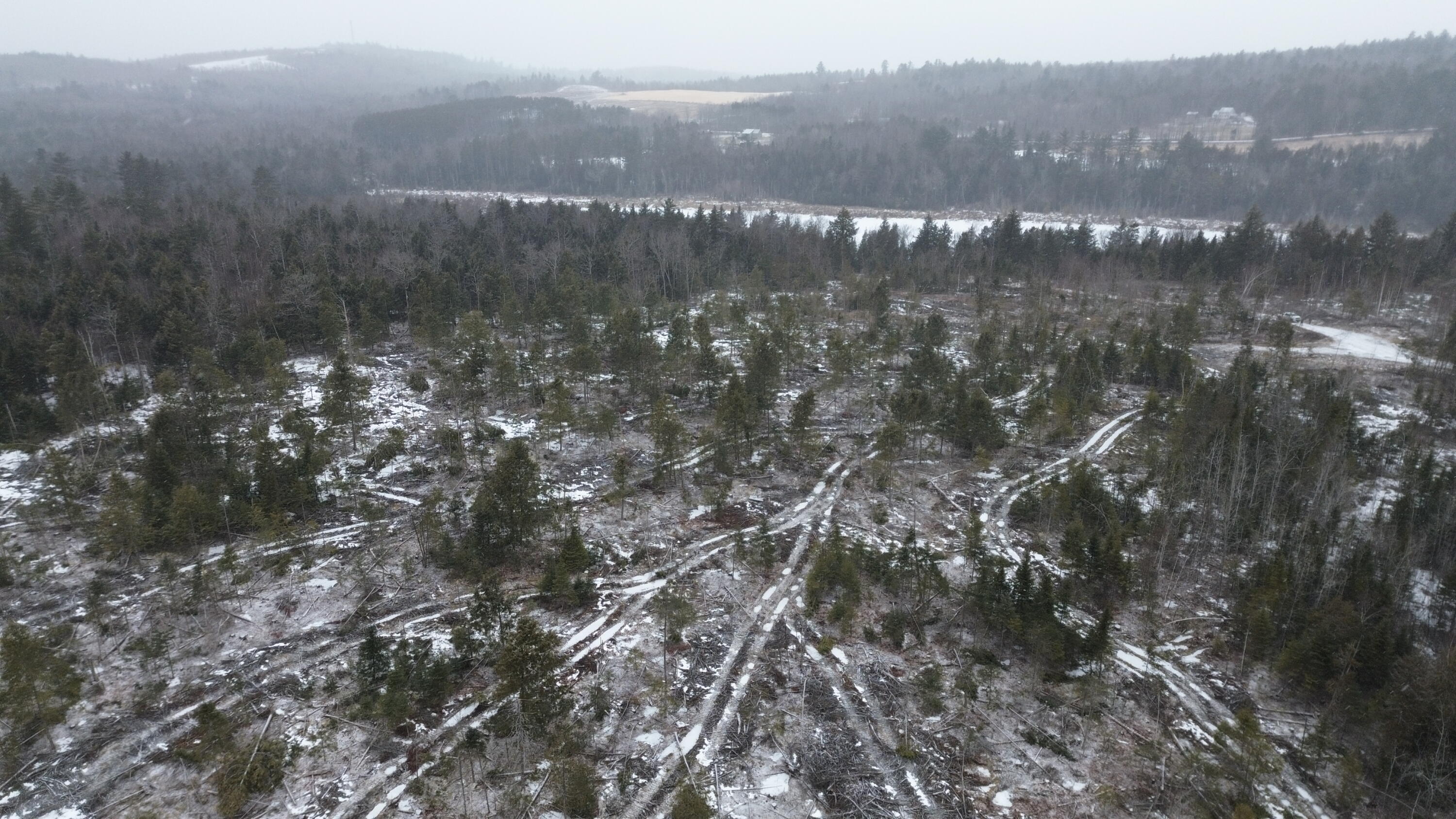 Lot 12 Parker Pond Road Sebec, ME 04481 - Photo 17 of 31 DJI_0449