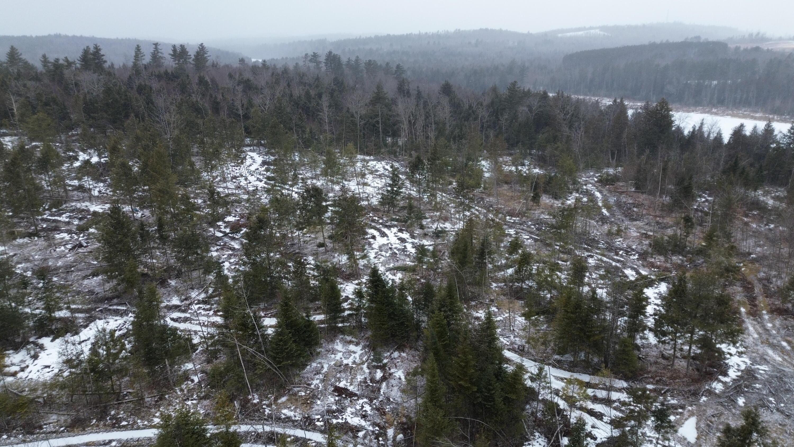 Lot 12 Parker Pond Road Sebec, ME 04481 - Photo 18 of 31 DJI_0447