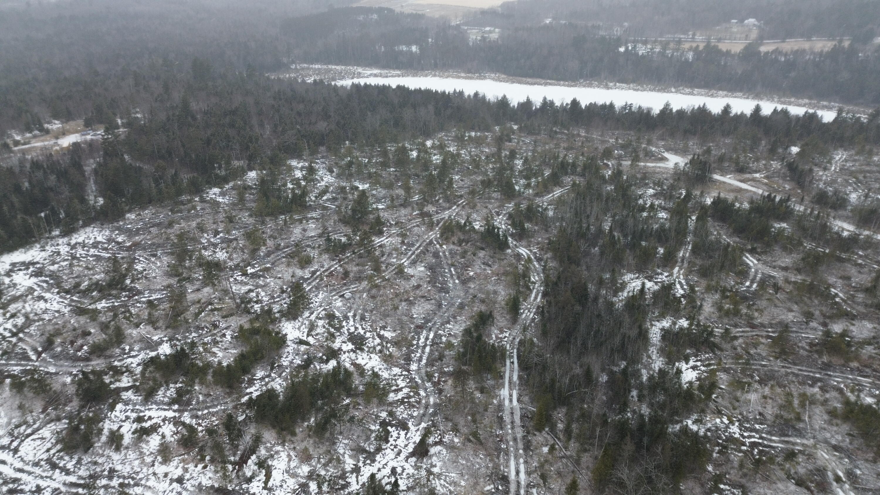 Lot 12 Parker Pond Road Sebec, ME 04481 - Photo 19 of 31 DJI_0451