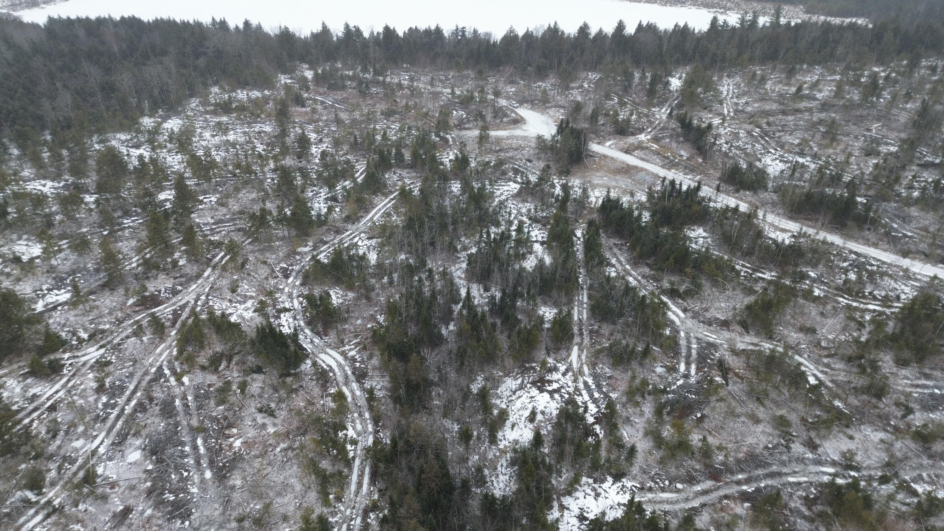 Lot 12 Parker Pond Road Sebec, ME 04481 - Photo 29 of 31 DJI_0452