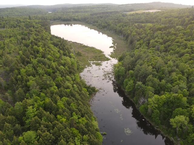Lot 12 Parker Pond Road Sebec, ME 04481 - Photo 30 of 31 dji_fly_20250604_190944_470_175200584200