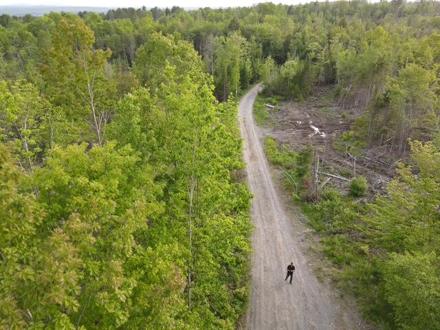 Lot 12 Parker Pond Road Sebec, ME 04481 - Photo 3 of 31 dji_fly_20250604_191318_484_175200587106