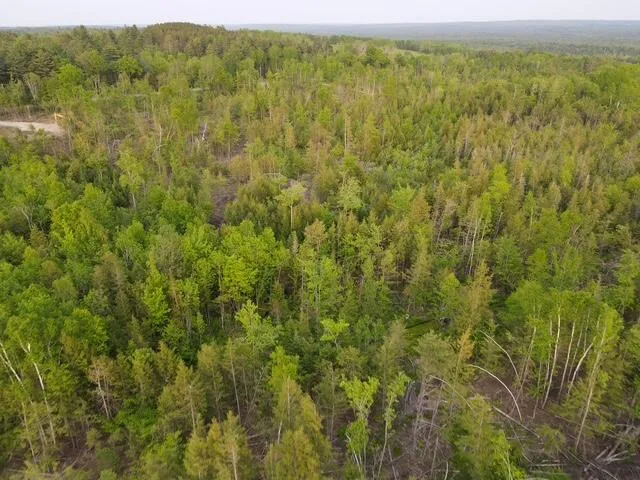 $98,900 | Lot 12 Parker Pond Road, Sebec, ME 04481