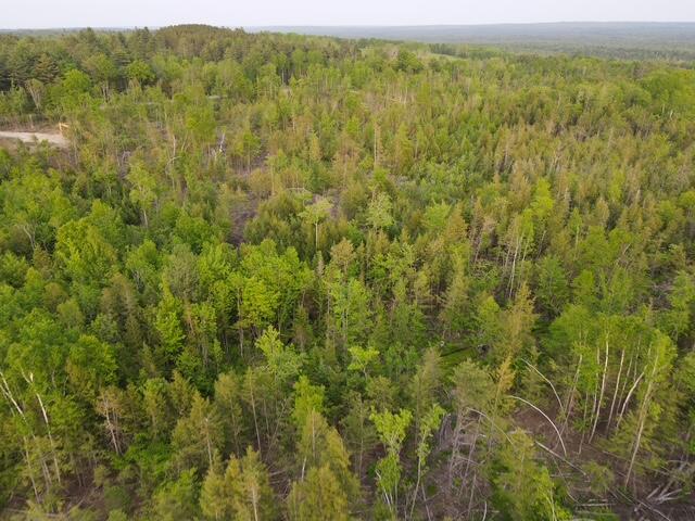 Lot 12 Parker Pond Road Sebec, ME 04481 - Photo 8 of 31 dji_fly_20250604_191216_479_175200586145