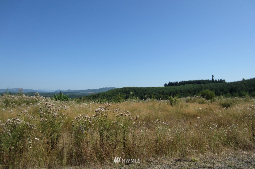 38 Silver Ridge Castle Rock, WA 98611 - Photo 1 of 1