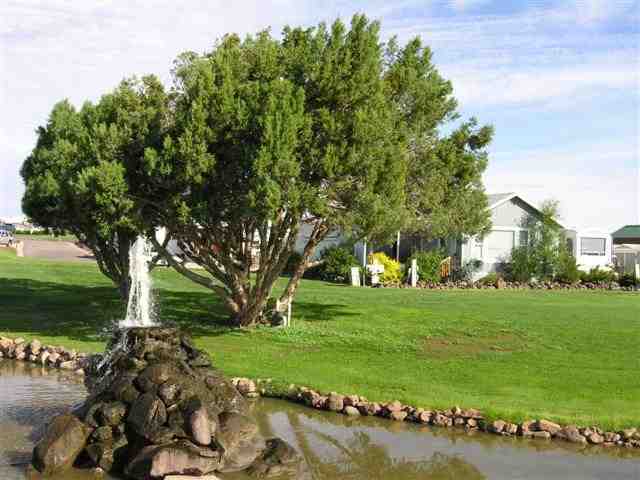 Lot 279 Juniper Ridge Show Low, AZ 85901 - Photo 3 of 8