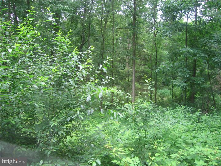 2162 Schultz Road Lansdale, PA 19446 - Photo 22 of 22 Gallery Image 22