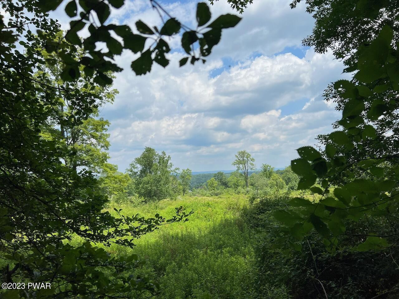 Schuman Road Damascus, PA 18415 - Photo 2 of 19