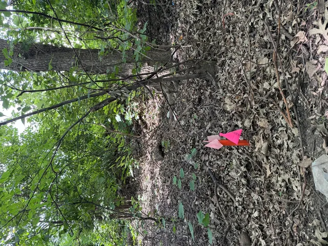 $99,900 | 211 North Il-83 Highway North, Elmhurst, IL 60126