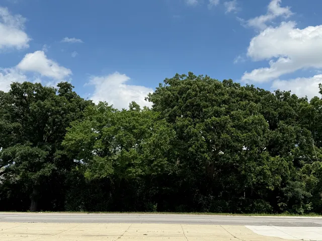 a view of with garden