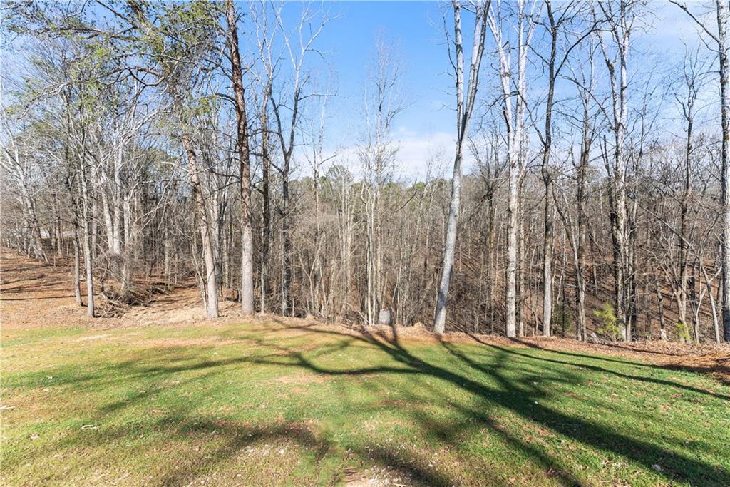 3425 Duckett Mill Road Gainesville, GA 30506 - Photo 58 of 95