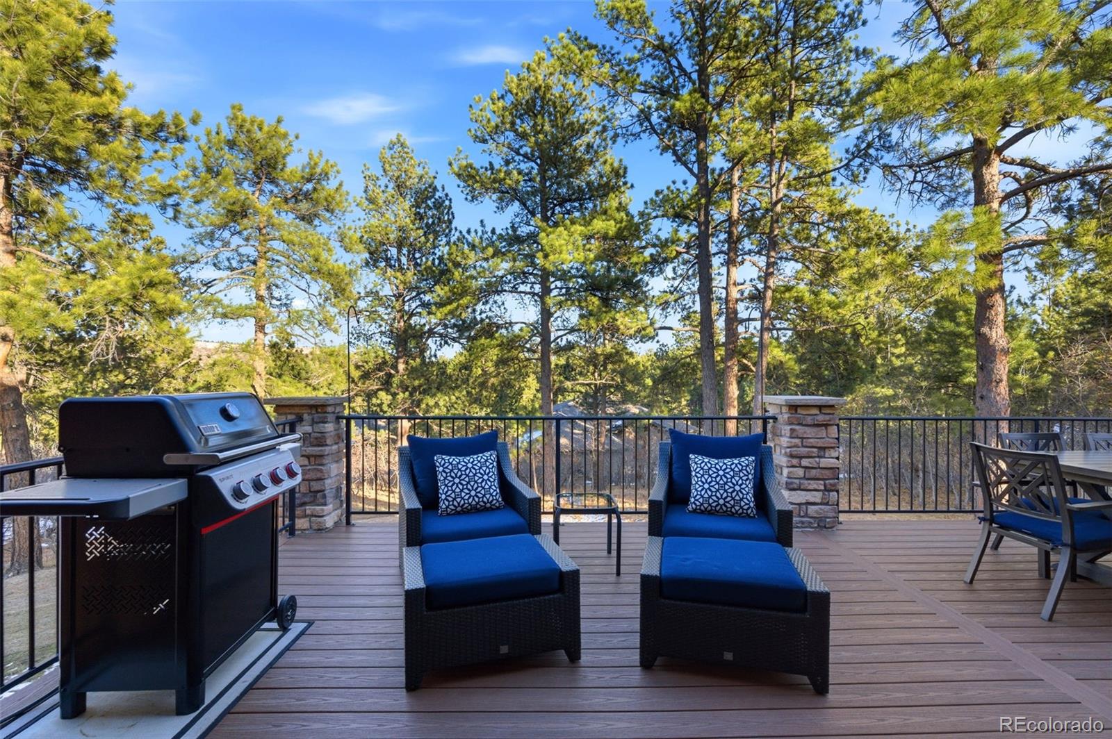 8056 Monarch Road Larkspur, CO 80118 - Photo 47 of 49