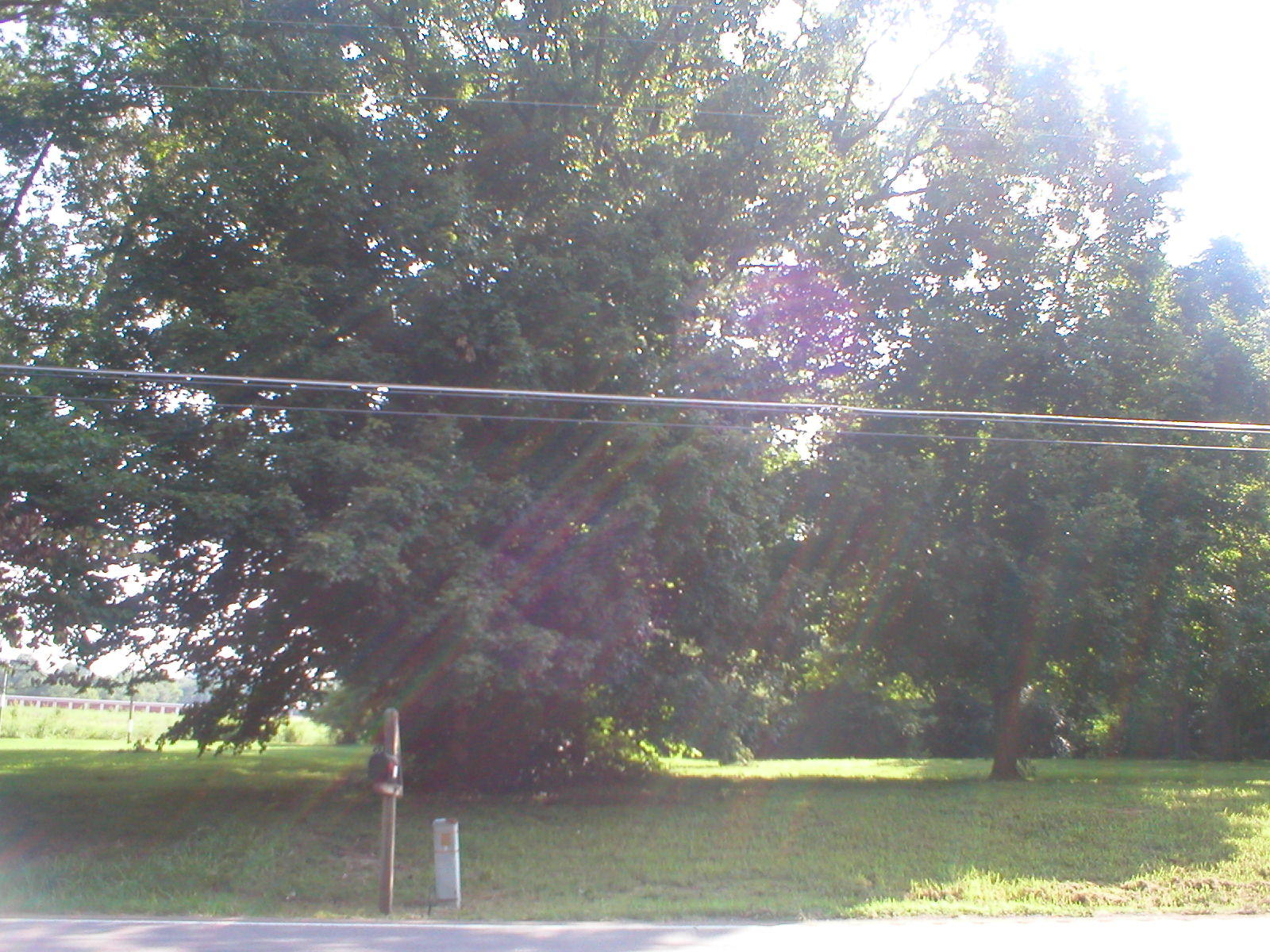 162 Bowater Road Delano, TN 37325 - Photo 3 of 4 162 Bowater Road 3