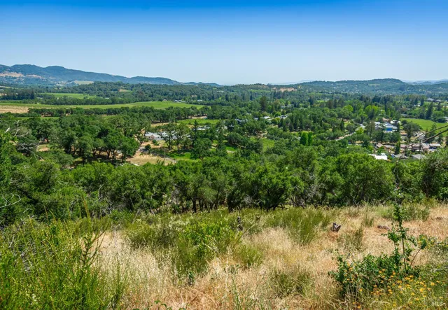 a view of a lush green field with a mountain in the background