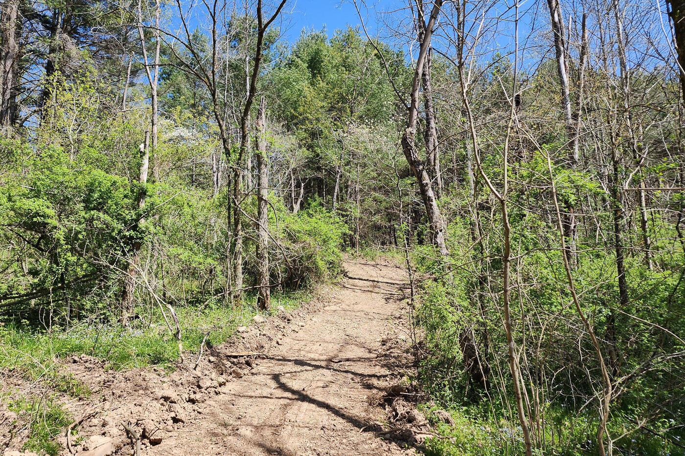 0 Featherstone Road, Unit TRACT 2) Stewart, OH 45778 - Photo 41 of 56 CT-41