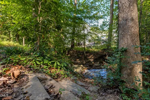 a view of a forest with a tree