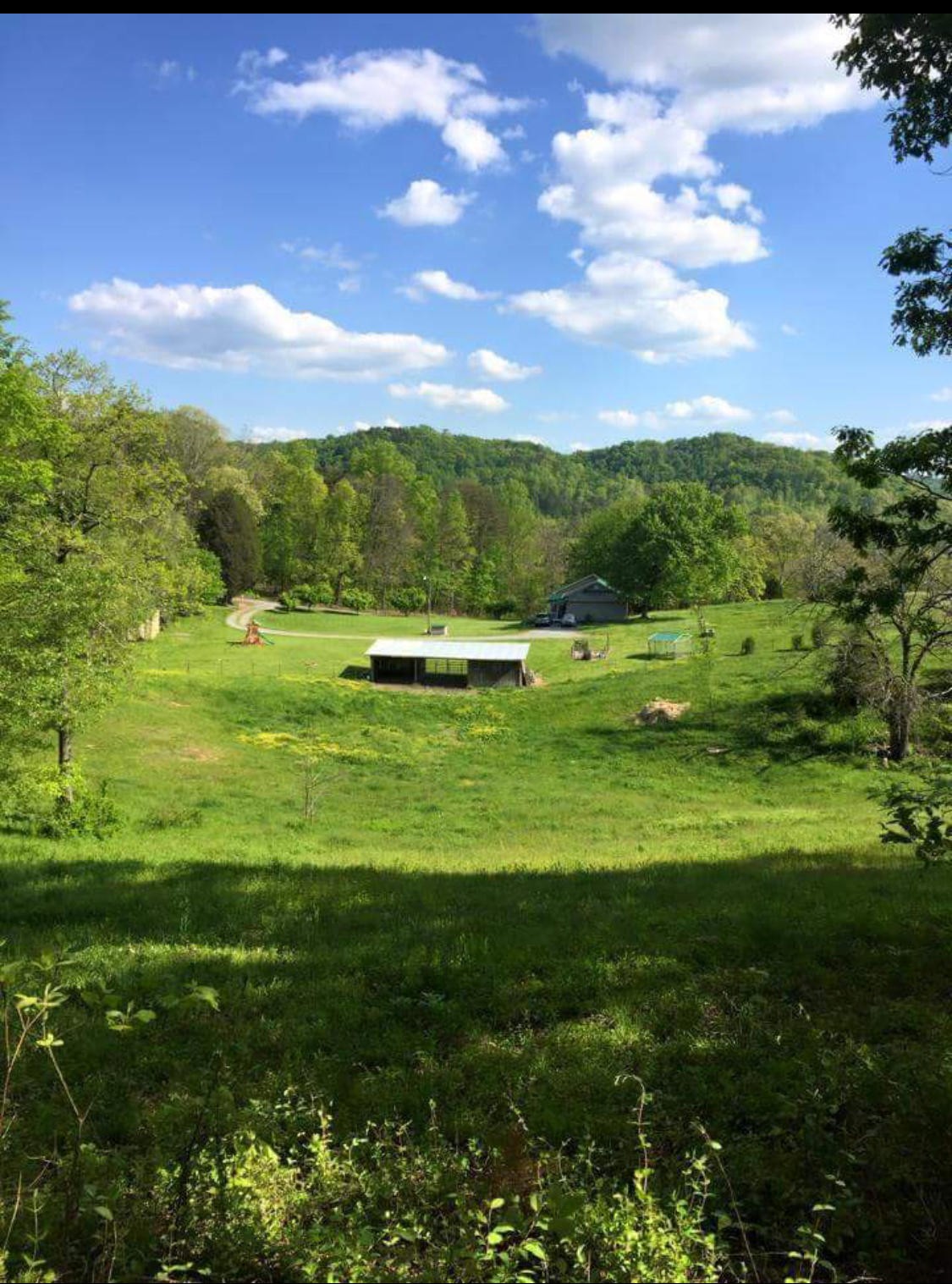 245 Lambdin Road Maynardville, TN 37807 - Photo 3 of 18 Gallery Image 3