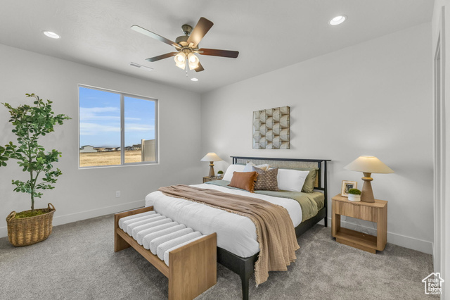 155 East 360th Street East, Unit 10B Fillmore, UT 84631 - Photo 16 of 43 Bedroom with ceiling fan and carpet floors