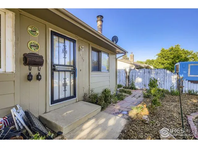 a view of backyard with potted plants