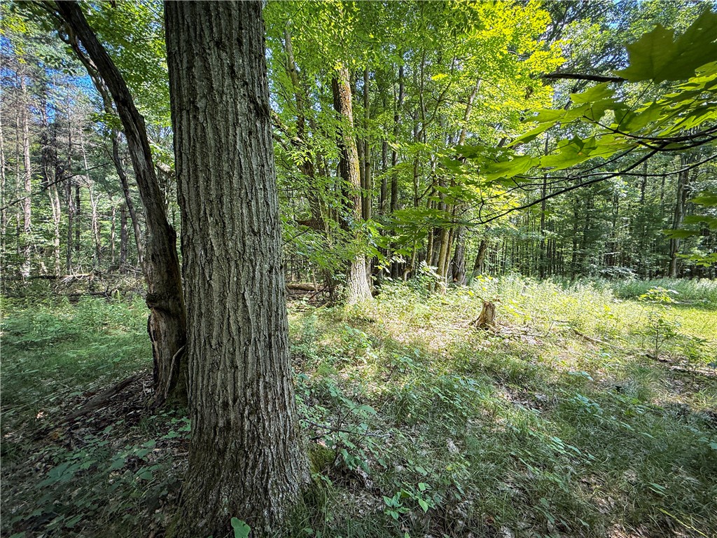 2512 Dunn Road Italy, NY 14418 - Photo 34 of 49 Gallery Image 34