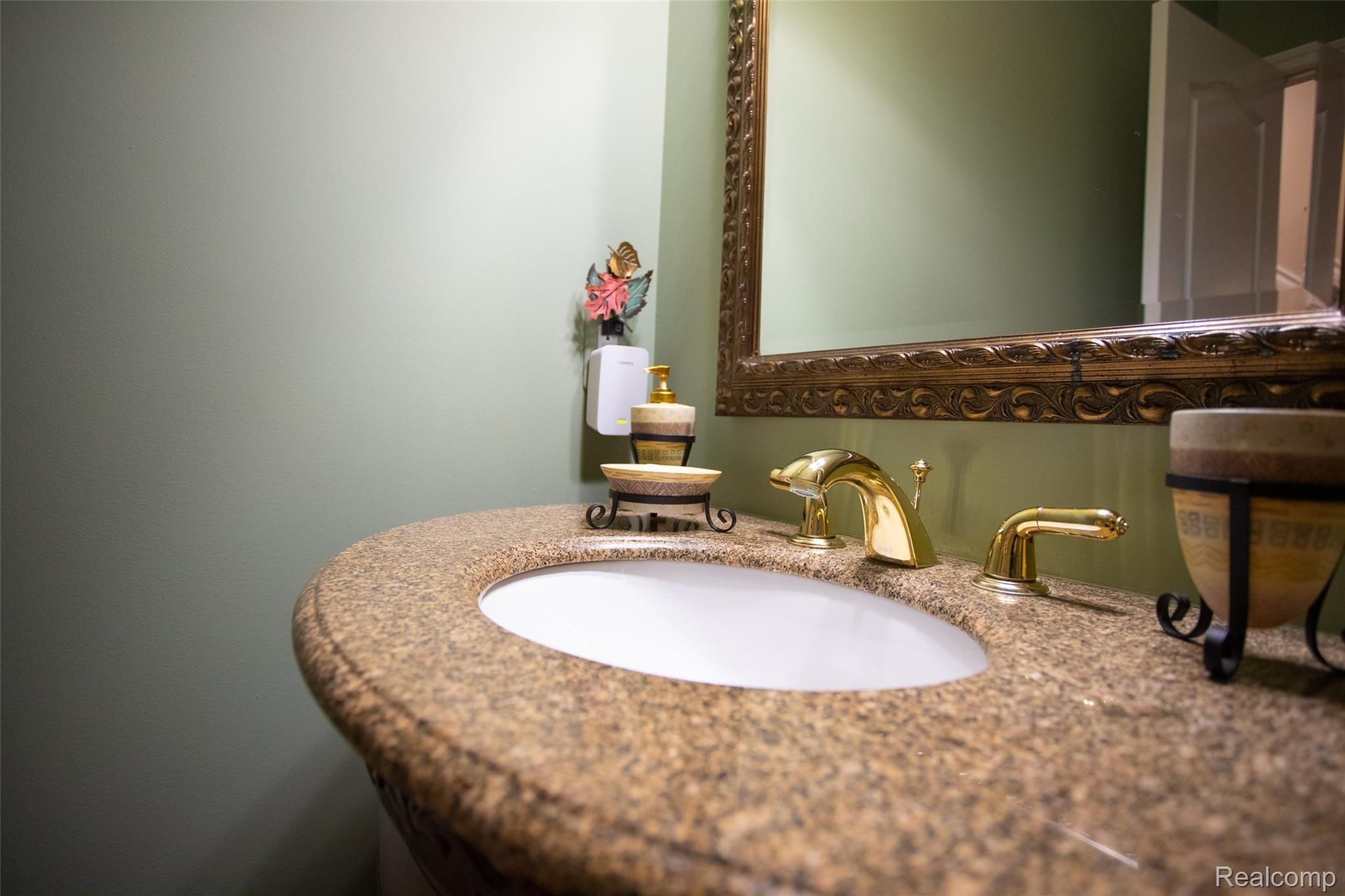 543 Bloomer Ridge Drive Rochester, MI 48307 - Photo 18 of 60 20191106-IMG_3266LR2019.JPG