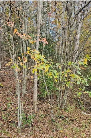 $43,900 | 0 Moravian Crk Drive, Moravian Falls, NC 28654