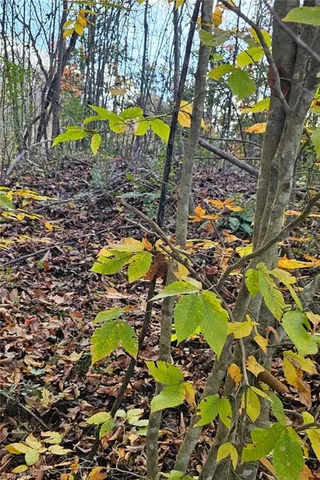 $43,900 | 0 Moravian Crk Drive, Moravian Falls, NC 28654