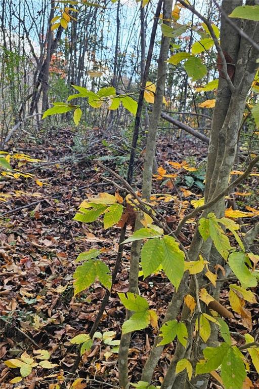 0 Moravian Crk Drive Moravian Falls, NC 28654 - Photo 3 of 8