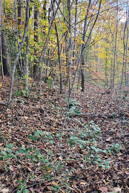 0 Moravian Crk Drive Moravian Falls, NC 28654 - Photo 4 of 8