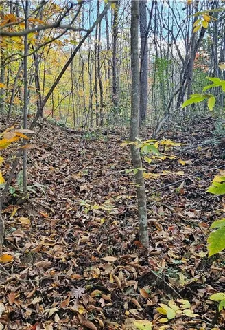 $43,900 | 0 Moravian Crk Drive, Moravian Falls, NC 28654