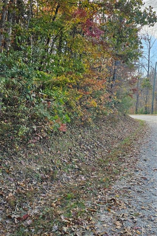 0 Moravian Crk Drive Moravian Falls, NC 28654 - Photo 6 of 8