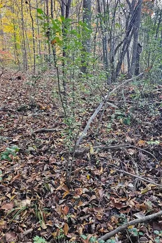 $43,900 | 0 Moravian Crk Drive, Moravian Falls, NC 28654