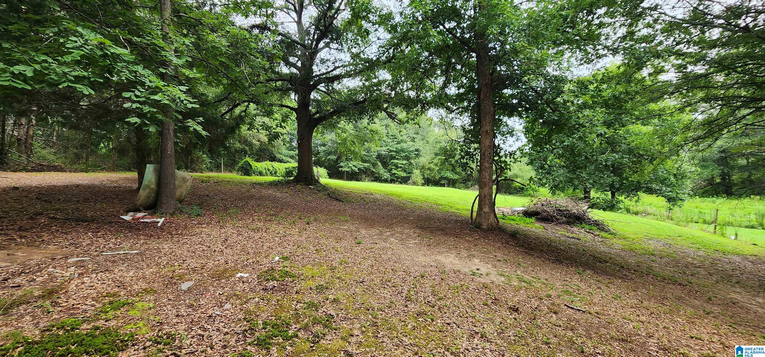 368 Dodd Road Altoona, AL 35952 - Photo 46 of 54