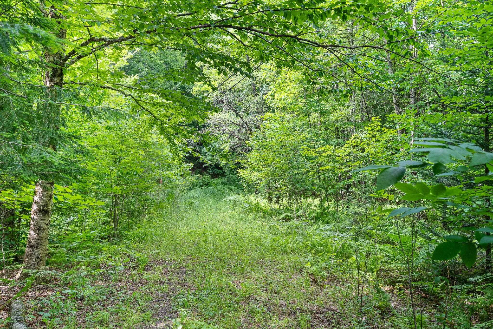 Tbd Wilder Road, Unit 2 Waterbury, VT 05676 - Photo 10 of 25