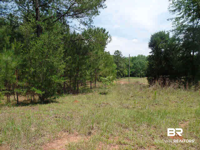 500 County Road 462 Kinston, AL 36453 - Photo 13 of 25