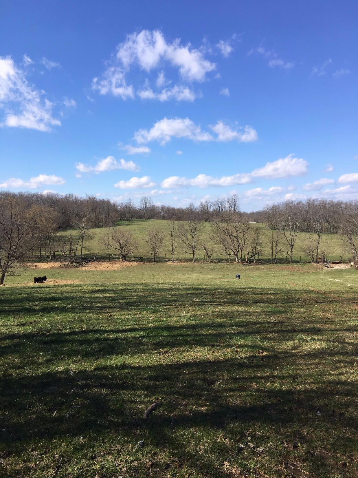 700 Ardery Road Paris, KY 40361 - Photo 1 of 7 Photo 1