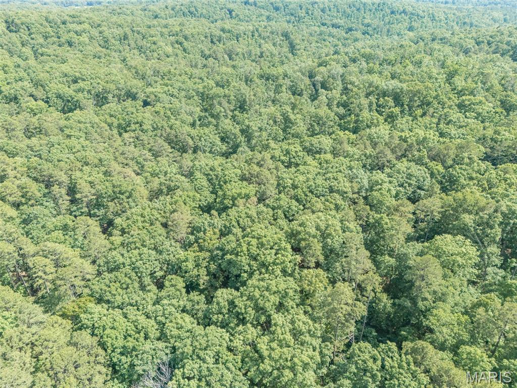 10130 Fish Hook Road Potosi, MO 63664 - Photo 22 of 29