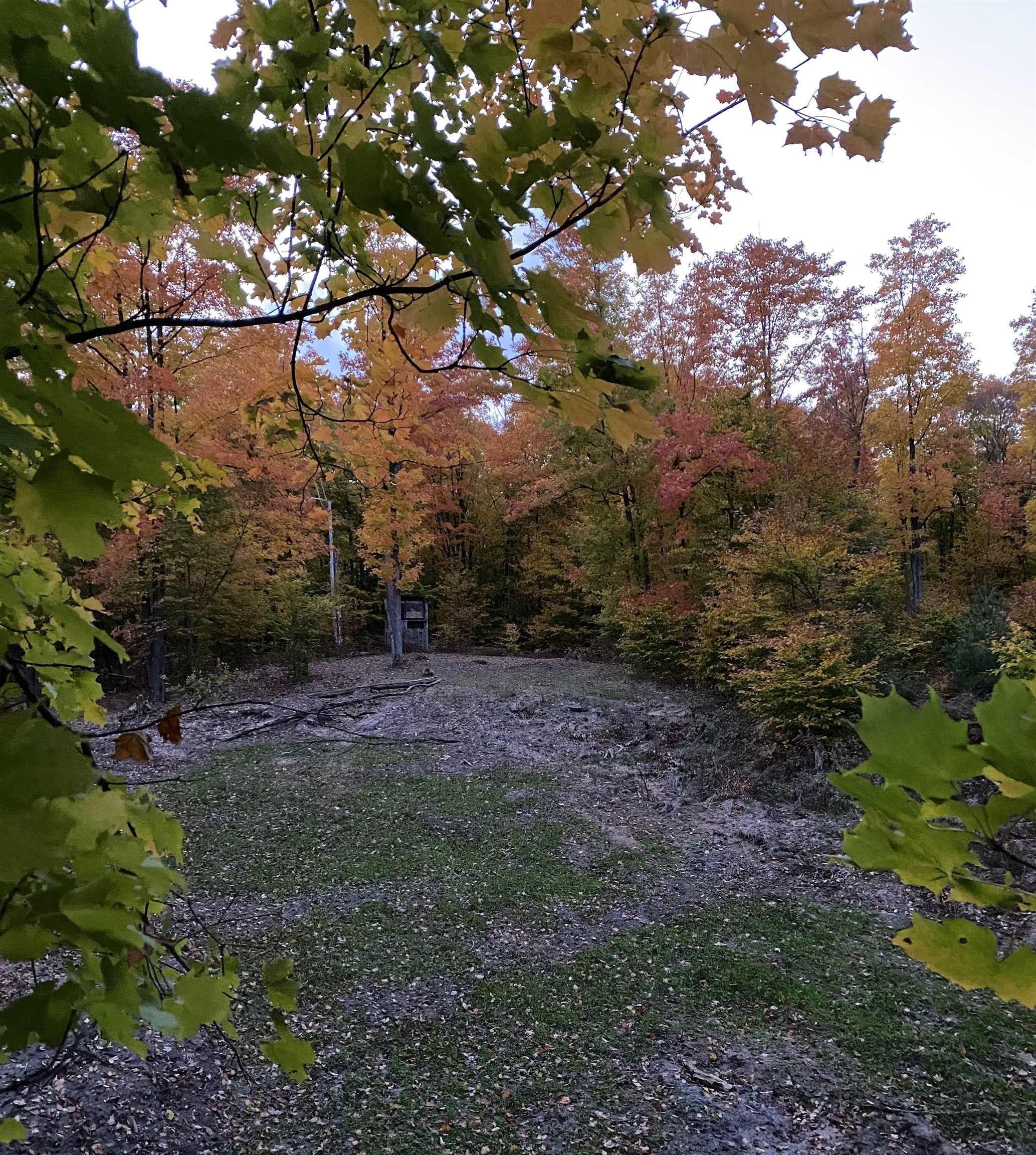 3785 North 33 Road Manton, MI 49663 - Photo 19 of 19