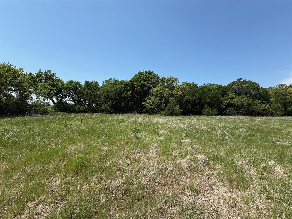 0 County Road 3940 Poolville, TX 76487 - Photo 2 of 6 a view of a green field with plants