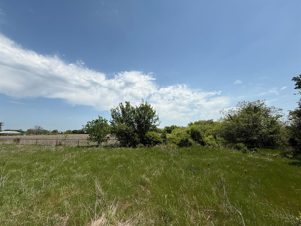 0 County Road 3940 Poolville, TX 76487 - Photo 5 of 6 a view of a big yard with large trees