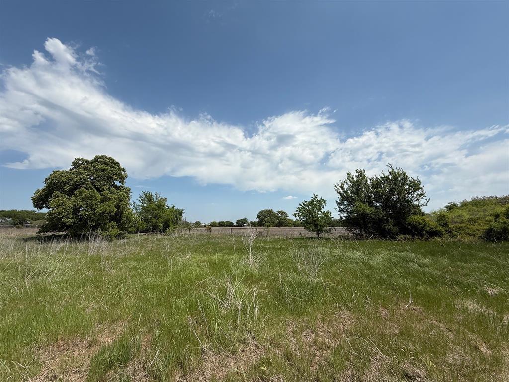 0 County Road 3940 Poolville, TX 76487 - Photo 6 of 6 a backyard of a house with lots of green space