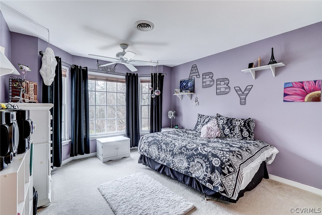 5512 Chestnut Bluff Road Midlothian, VA 23112 - Photo 25 of 34