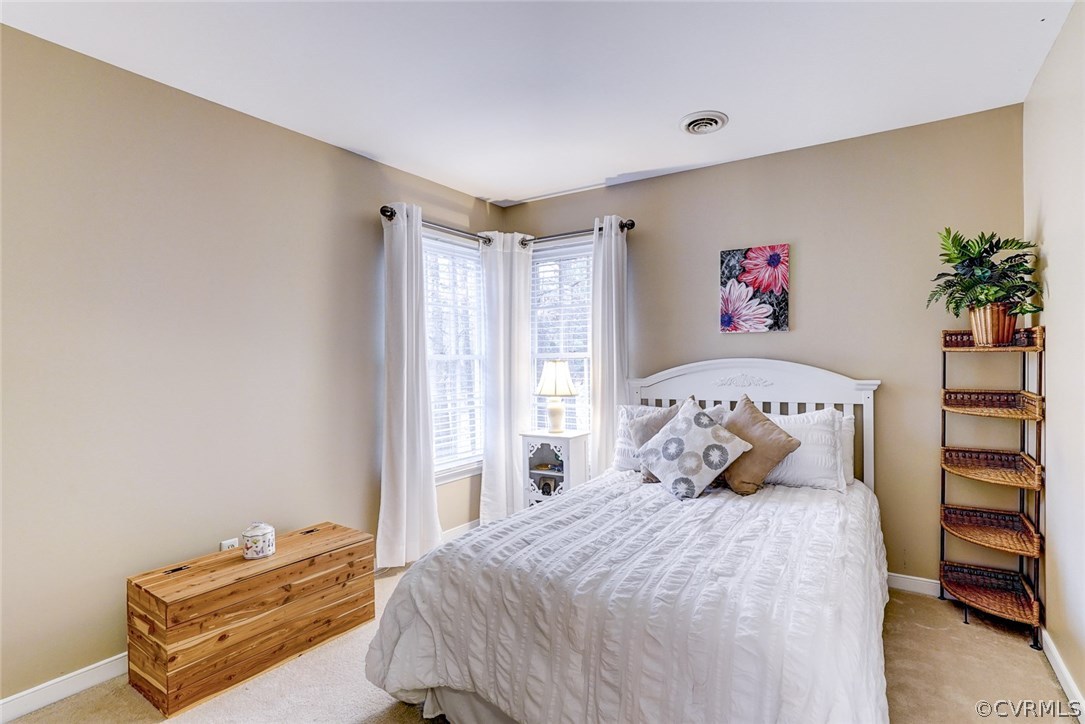 5512 Chestnut Bluff Road Midlothian, VA 23112 - Photo 27 of 34